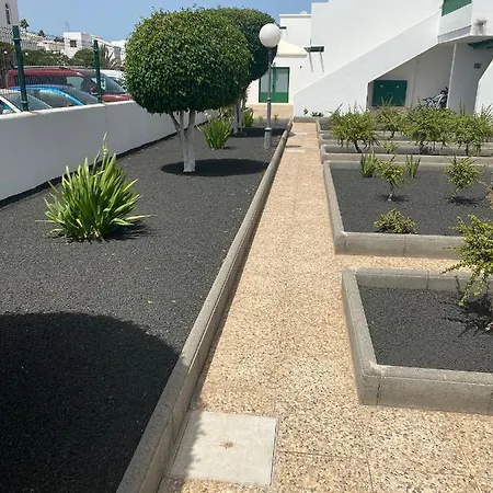 Mimosas * Puerto del Carmen (Lanzarote)
