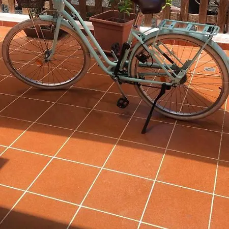 Apartamento Mimosas *